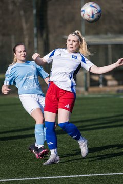 Bild 143 - F Hamburger SV 3 - Blau-Weiss 96 : Ergebnis: 5:1